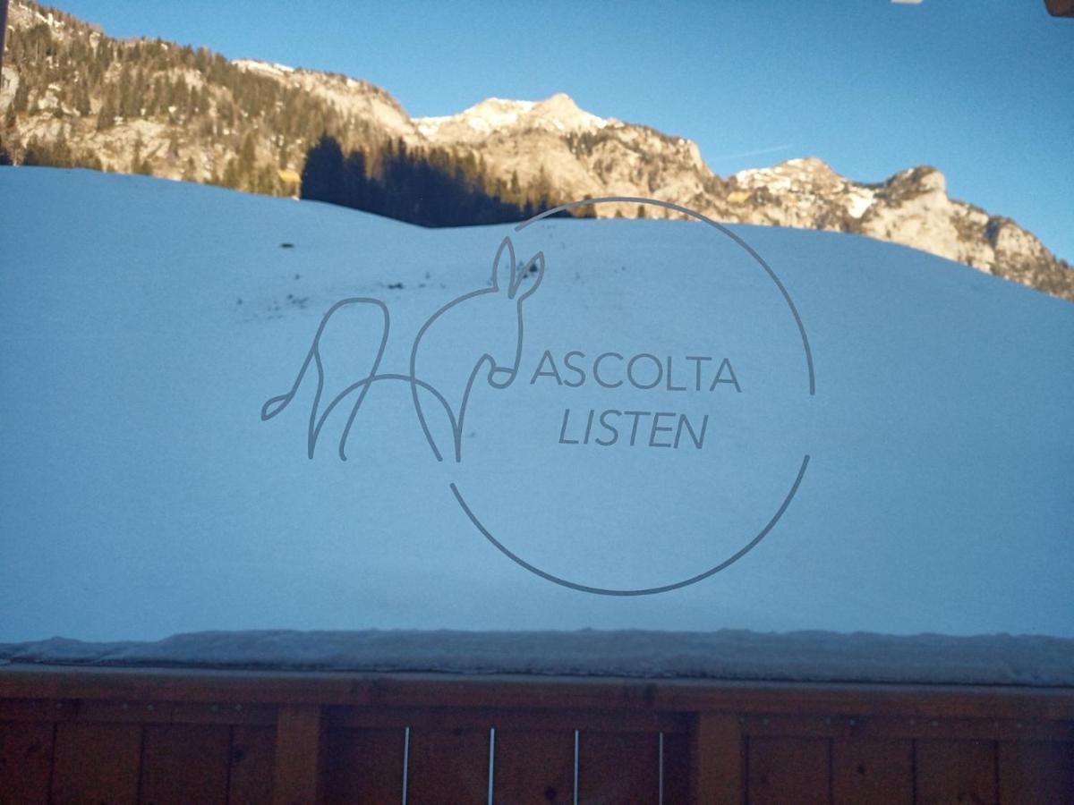 Maison Boutique Fior D'Alpe Sappada Exterior foto